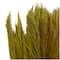 Dried Plant Bamboo Natural Foliage with Long Stems
